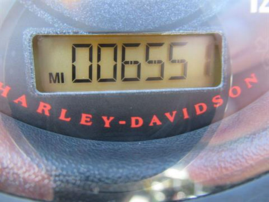 2022 Harley-Davidson Iron 883™