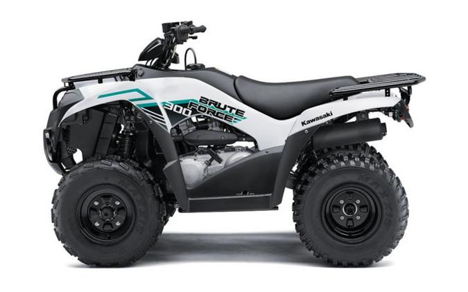 2023 Kawasaki Brute Force® 300