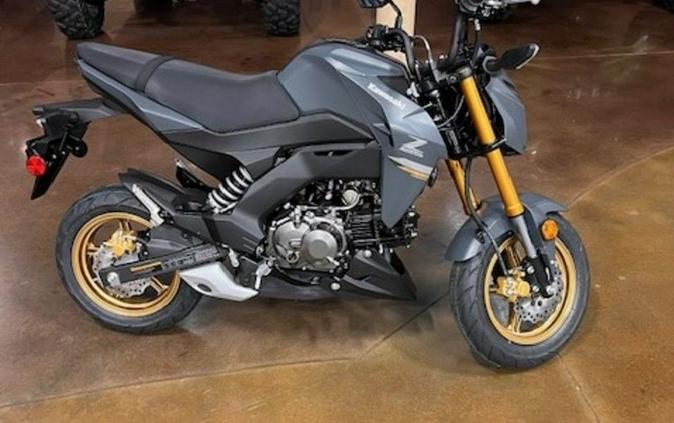 2024 Kawasaki Z125 PRO