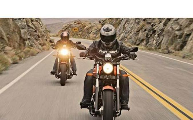 2013 Victory Judge™