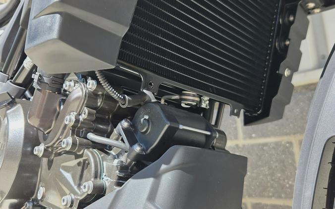 2025 BMW G 310 GS