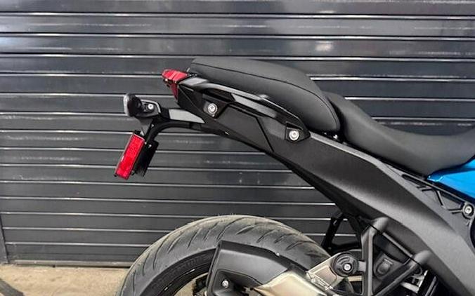 2026 BMW R1300R