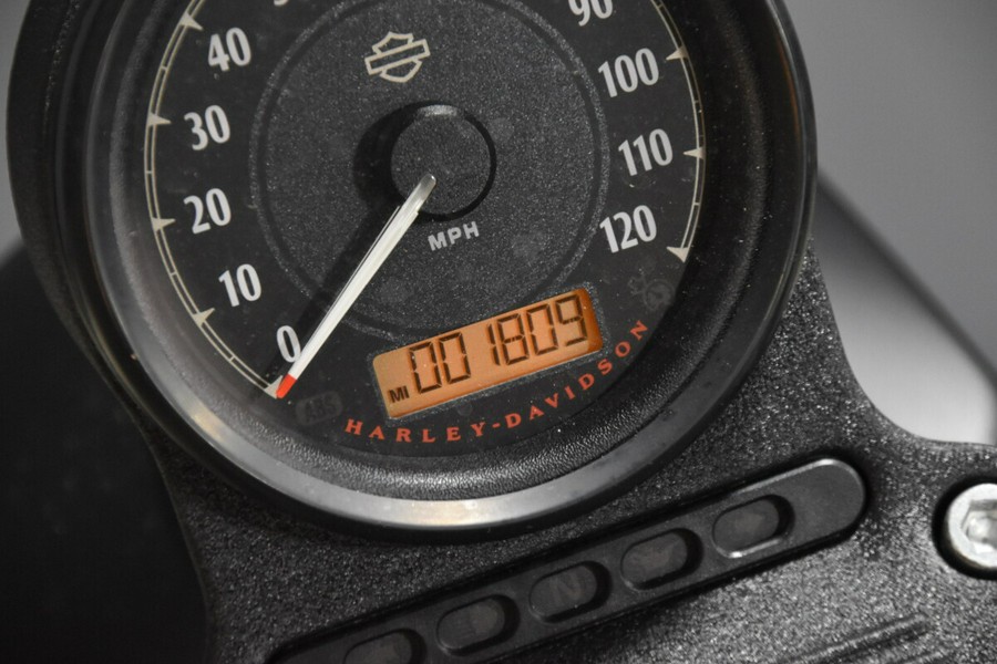 2022 Harley-Davidson Iron 883