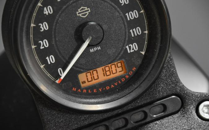 2022 Harley-Davidson Iron 883