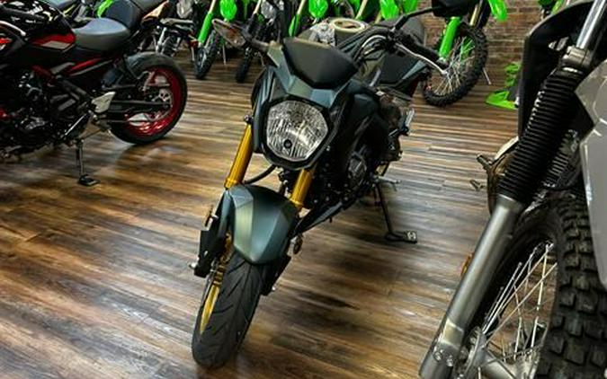 2025 Kawasaki Z125 Pro