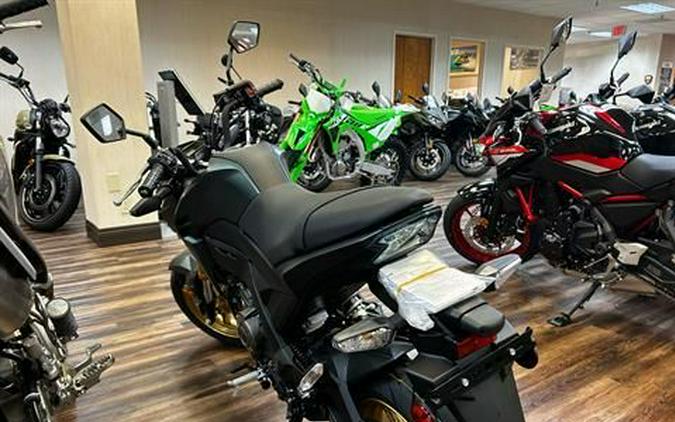 2025 Kawasaki Z125 Pro