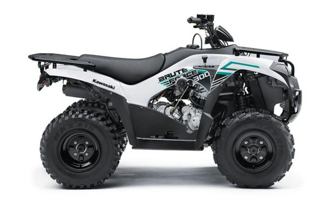 2023 Kawasaki Brute Force® 300