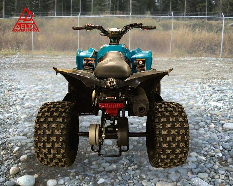 New 2026 Can-Am REN 110 EFI