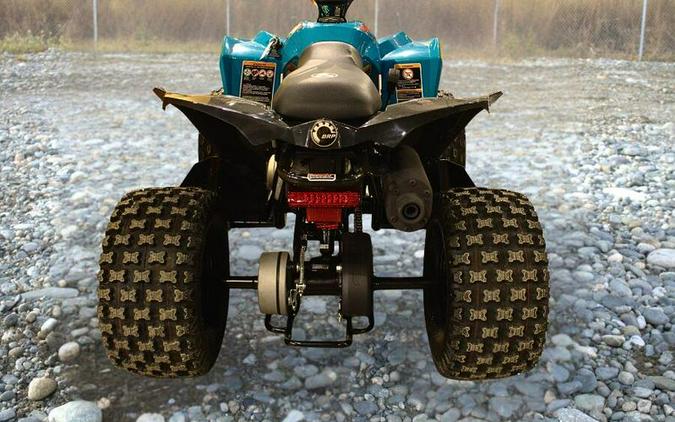 New 2026 Can-Am REN 110 EFI