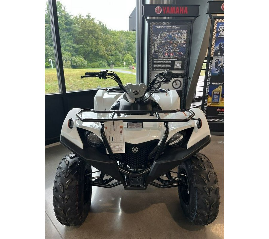 2024 Yamaha Grizzly 90