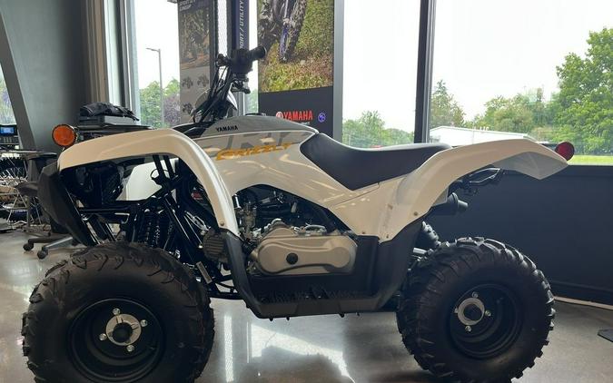 2024 Yamaha Grizzly 90