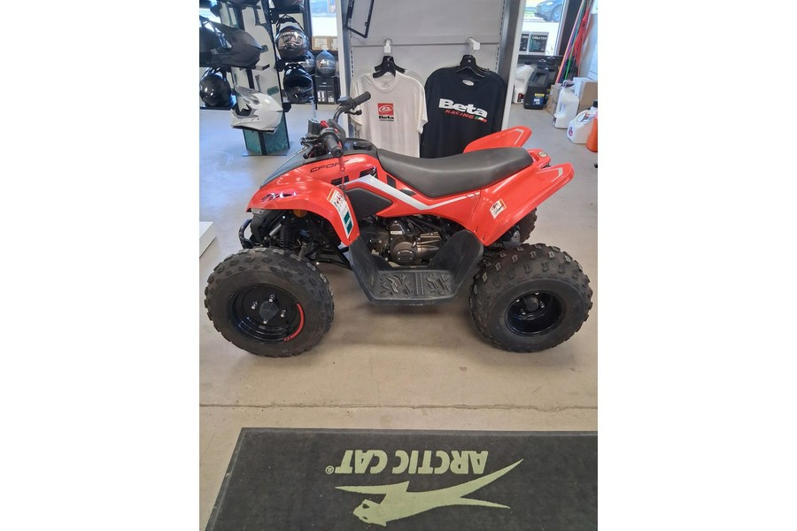 2024 CFMOTO CFORCE 110