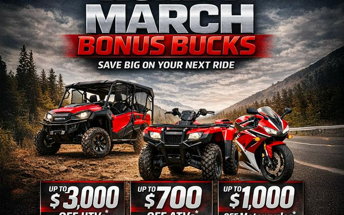 2026 Honda® NT1100 DCT