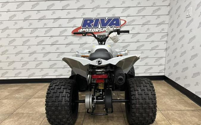 2024 Can-Am® Renegade 110 EFI