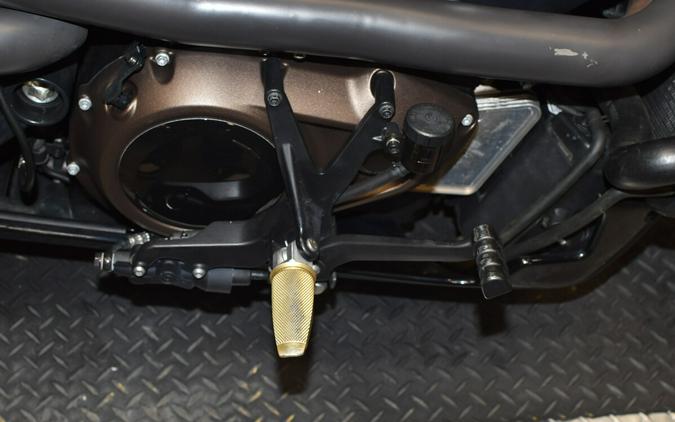 2022 Harley-Davidson Sportster S