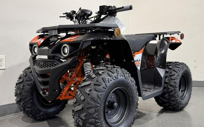 2026 Kayo Bull 125 EFI