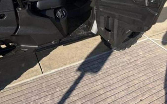 2025 Honda® Pioneer 1000