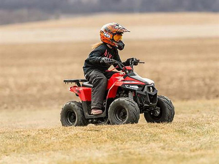 2022 Tao Motor MudHawk 6