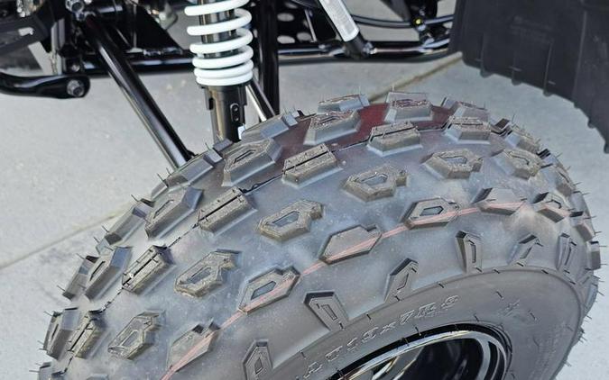 2026 Polaris® Outlaw 110 EFI