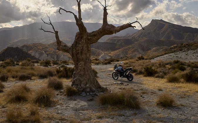 2026 Triumph Tiger 900 Desert Edition