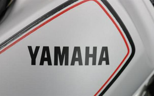 2024 Yamaha TW200