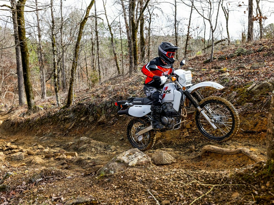 2024 Honda XR650L