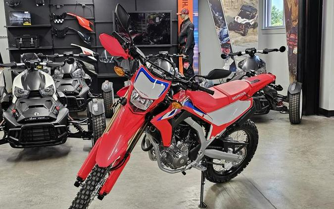 2024 Honda® CRF300L ABS