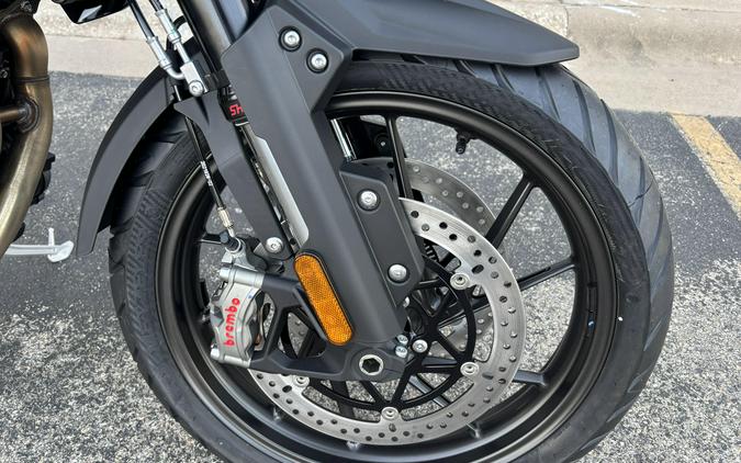 2025 Triumph Tiger