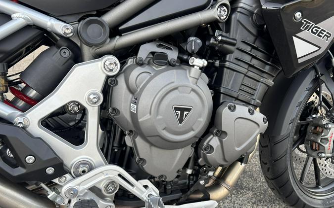 2025 Triumph Tiger