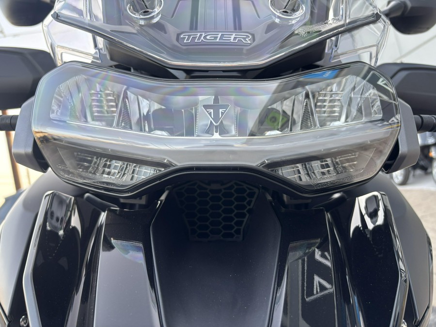 2025 Triumph Tiger