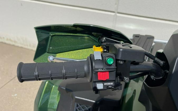 2026 Kawasaki Brute Force 750 SE EPS