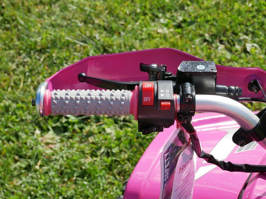 2026 Denago Powersports E-Hawk 6