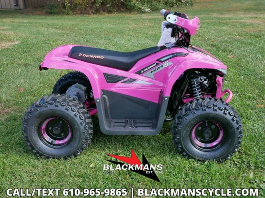 2026 Denago Powersports E-Hawk 6