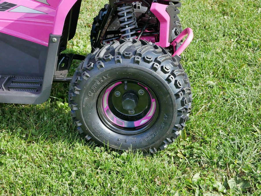 2026 Denago Powersports E-Hawk 6