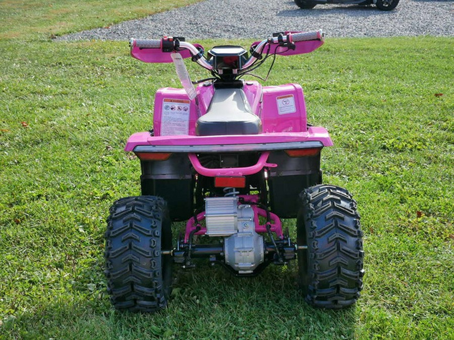 2026 Denago Powersports E-Hawk 6