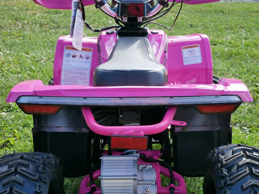 2026 Denago Powersports E-Hawk 6