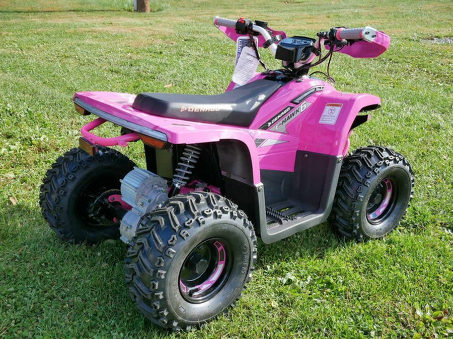 2026 Denago Powersports E-Hawk 6