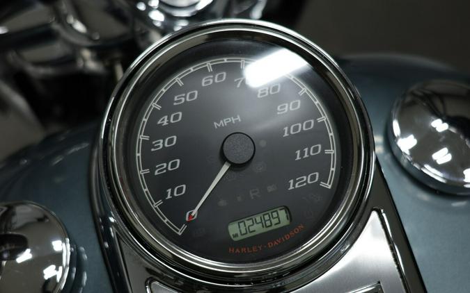 2020 HARLEY-DAVIDSON FLHR ROAD KING in SILVER PINE/SPRUCE with 24896 miles