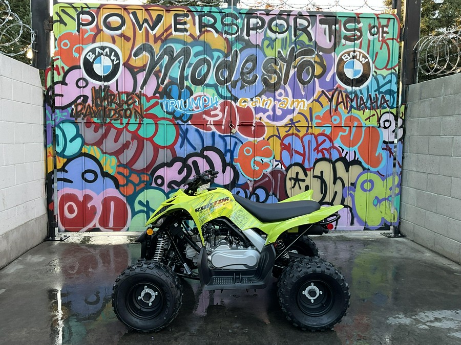 2026 Yamaha Raptor 110