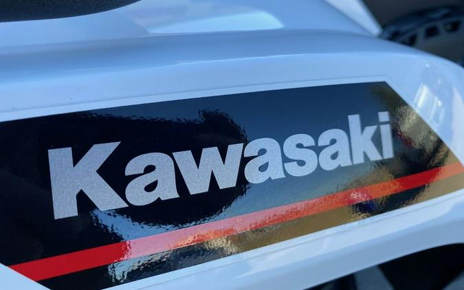 2025 Kawasaki Brute Force® 450 4x4