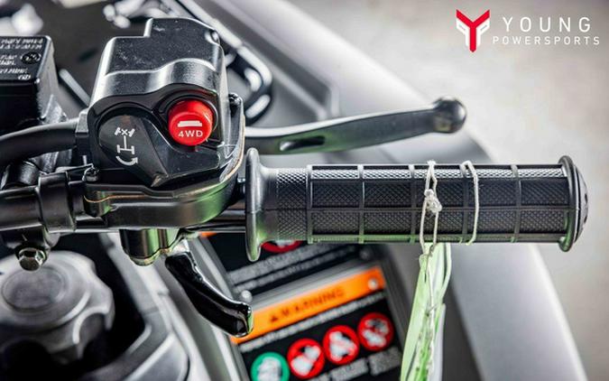 2026 Honda FourTrax Foreman Rubicon 4x4 EPS Matte Gray Metall