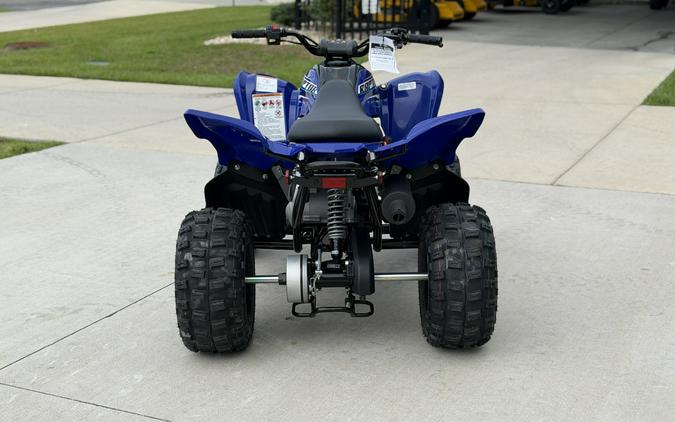2026 YAMAHA RAPTOR 110 - T018702
