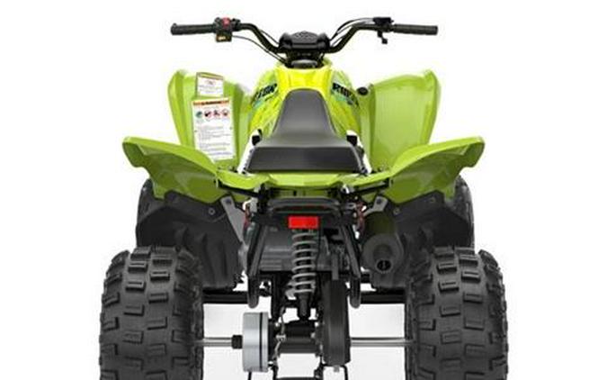 2026 Yamaha Raptor 110