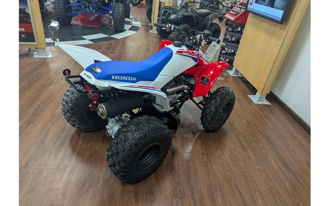 2026 Honda TRX® 250X
