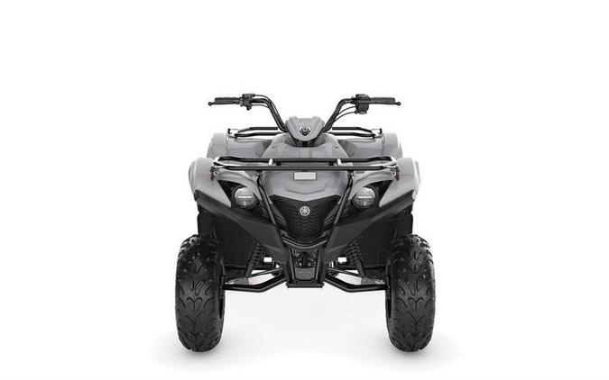 2023 Yamaha Grizzly 90