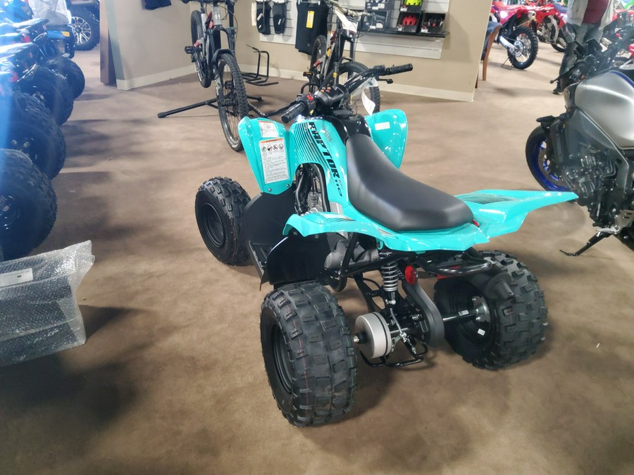 2024 Yamaha Raptor 110