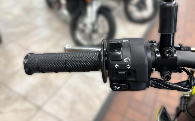 2026 Kawasaki KLX 300SM
