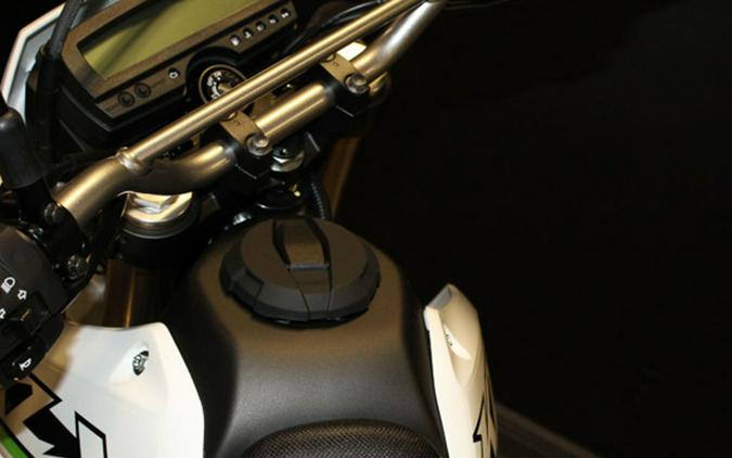 2026 Kawasaki KLX300 300