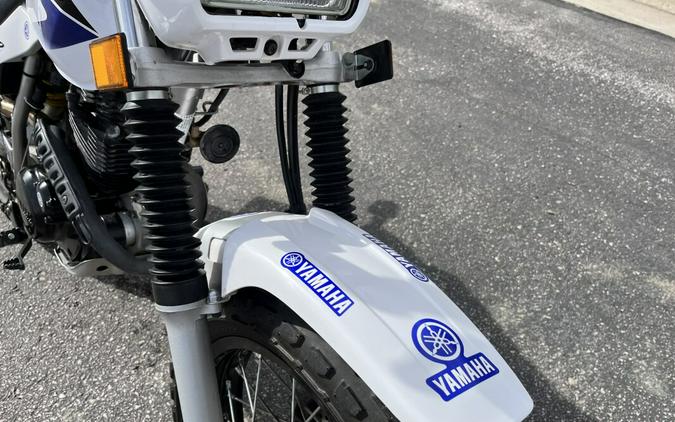 2013 Yamaha TW200 White / Blue