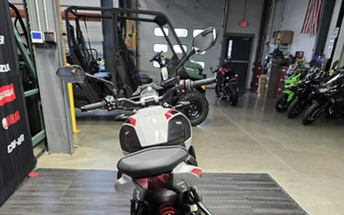 2026 Triumph Trident 800 Ash grey 800